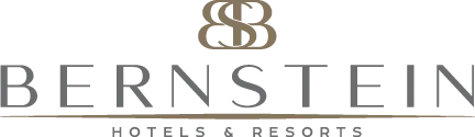 Logo von Bernstein Acemed Resort